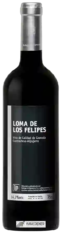 Bodega Los Barrancos - Loma de los Felipes Bodega Los Barrancos - Loma de los Felipes