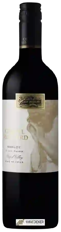 Winery Los Rosales - Chapel Vineyard Merlot