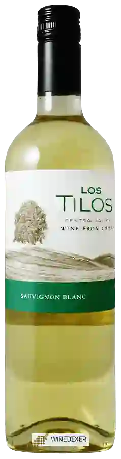 Winery Los Tilos - Sauvignon Blanc Winery Los Tilos - Sauvignon Blanc