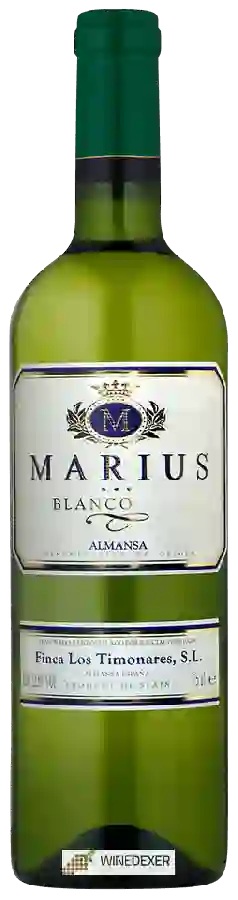 Winery Finca Los Timonares - Marius Blanco