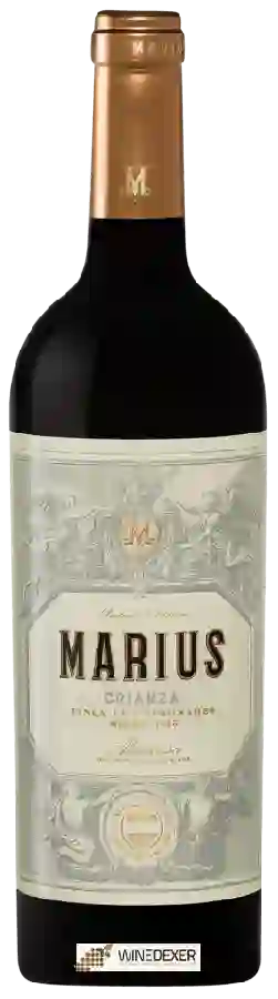 Winery Finca Los Timonares - Marius Crianza Winery Finca Los Timonares - Marius Crianza