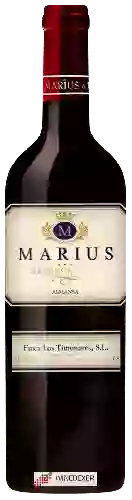 Winery Finca Los Timonares - Marius Reserva