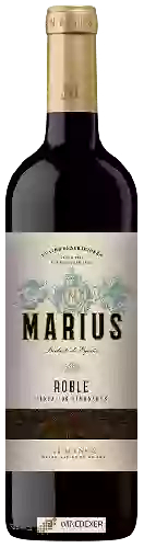 Winery Finca Los Timonares - Marius Roble