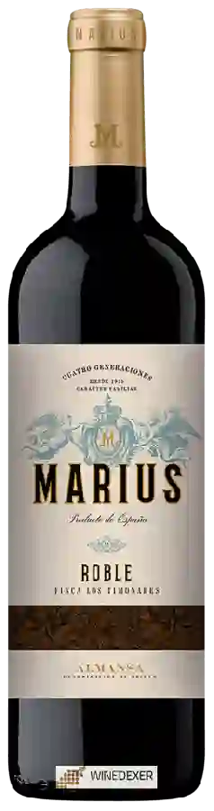 Winery Finca Los Timonares - Marius Roble