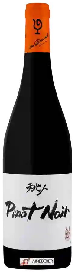 Winery Lou Dumont - Pinot Noir