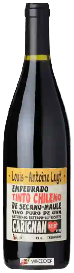 Winery Louis-Antoine Luyt - Carignan Winery Louis-Antoine Luyt - Carignan