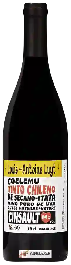 Winery Louis-Antoine Luyt - Cinsault Winery Louis-Antoine Luyt - Cinsault
