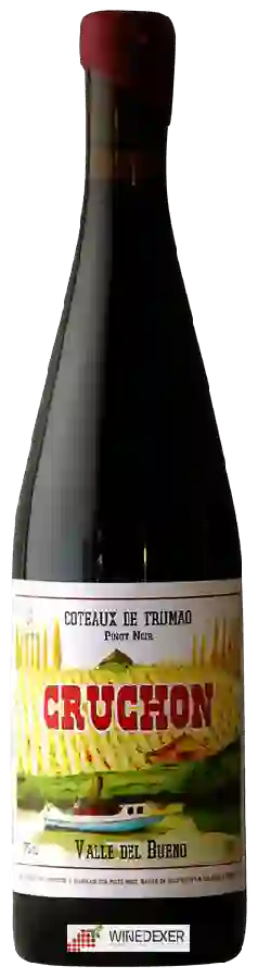 Winery Louis-Antoine Luyt - Cruchon Pinot Noir