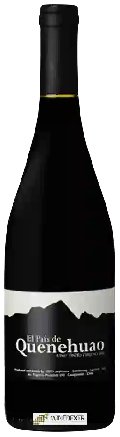 Winery Louis-Antoine Luyt - El Pais de Quenehuao Winery Louis-Antoine Luyt - El Pais de Quenehuao
