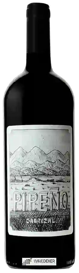 Winery Louis-Antoine Luyt - Pipeño Carrìzal Winery Louis-Antoine Luyt - Pipeño Carrìzal