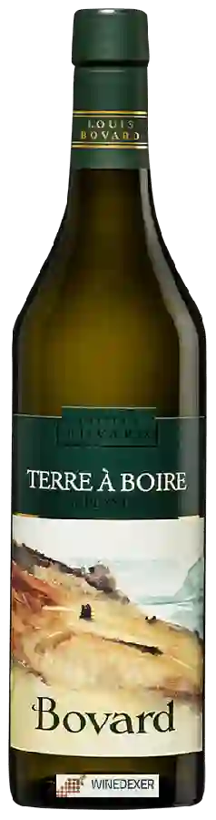 Winery Louis Bovard - Terre à Boire