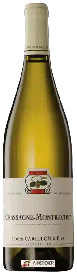 Winery Louis Carillon et Fils - Chassagne-Montrachet Winery Louis Carillon et Fils - Chassagne-Montrachet