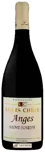 Winery Louis Chèze - Anges Saint-Joseph