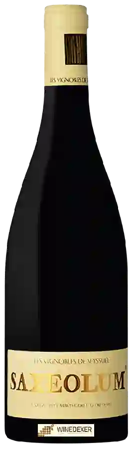 Winery Louis Chèze - Les Vignobles de Seyssuel Saxeolum Winery Louis Chèze - Les Vignobles de Seyssuel Saxeolum