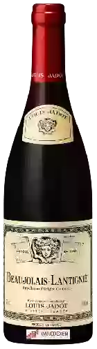 Winery Louis Jadot - Beaujolais Lantignié