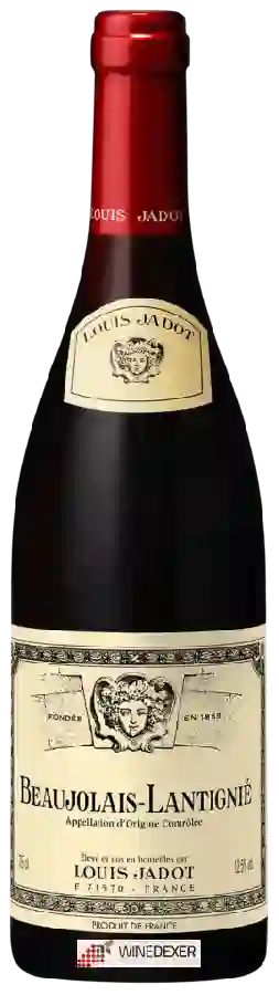 Winery Louis Jadot - Beaujolais Lantignié