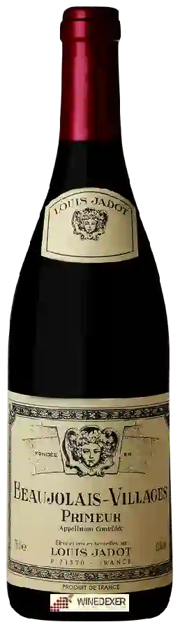 Winery Louis Jadot - Beaujolais-Villages Primeur