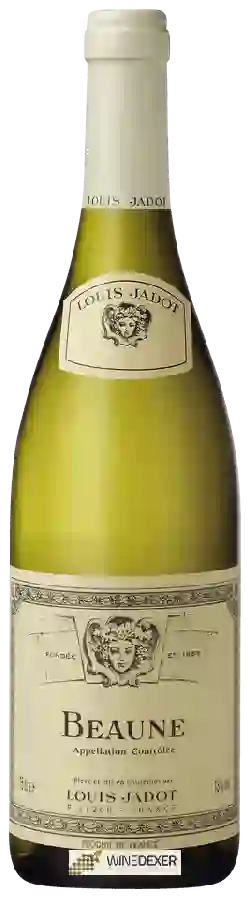 Winery Louis Jadot - Beaune Blanc Winery Louis Jadot - Beaune Blanc