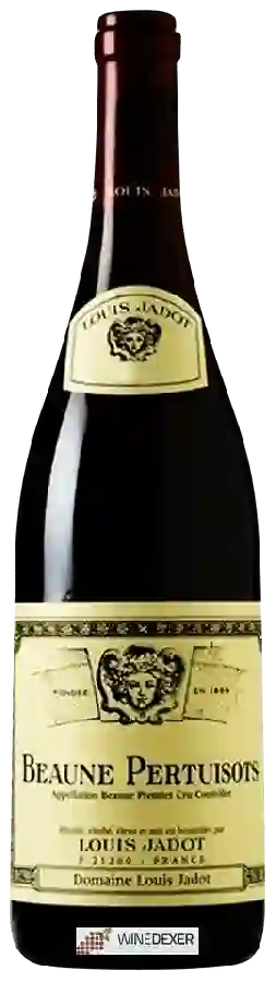 Winery Louis Jadot - Beaune Pertuisots