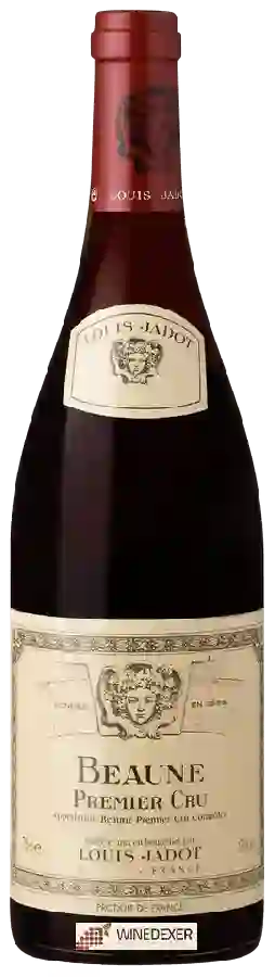 Winery Louis Jadot - Beaune Premier Cru