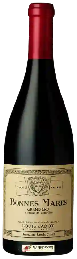 Winery Louis Jadot - Bonnes Mares Grand Cru Winery Louis Jadot - Bonnes Mares Grand Cru