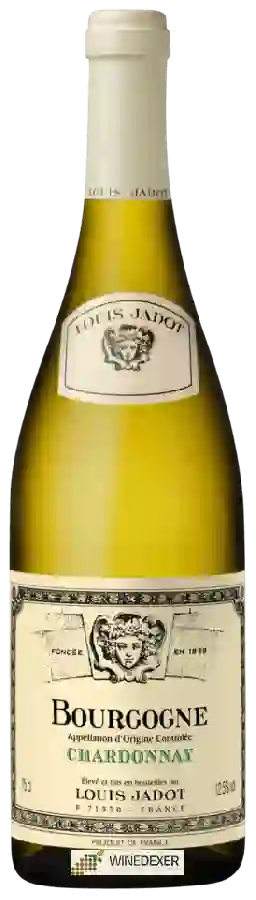 Winery Louis Jadot - Bourgogne Chardonnay
