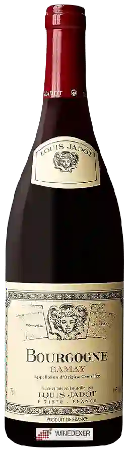 Winery Louis Jadot - Bourgogne Gamay Winery Louis Jadot - Bourgogne Gamay