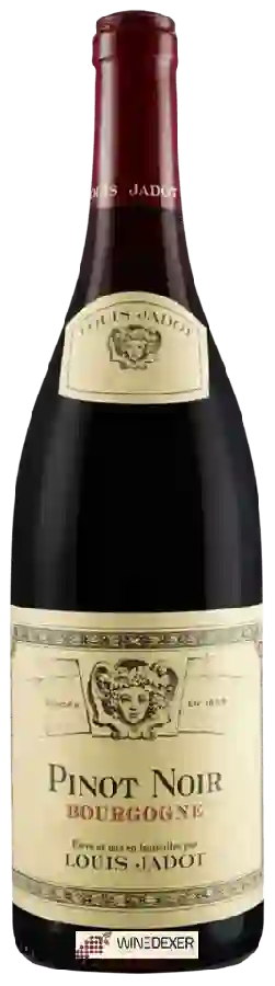 Winery Louis Jadot - Bourgogne Pinot Noir Winery Louis Jadot - Bourgogne Pinot Noir