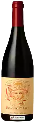Winery Louis Jadot - Célébration Beaune 1er Cru
