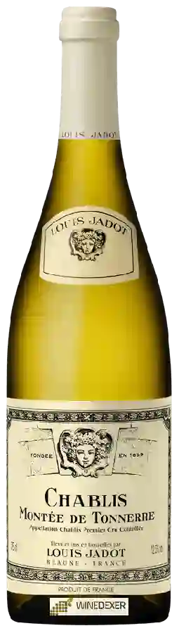 Winery Louis Jadot - Chablis 1er Cru 'Montée de Tonnerre'