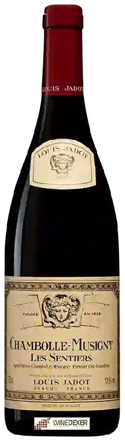 Winery Louis Jadot - Chambolle-Musigny 1er Cru 'Les Sentiers'