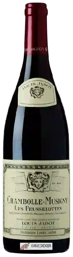 Winery Louis Jadot - Chambolle-Musigny les Feusselottes Winery Louis Jadot - Chambolle-Musigny les Feusselottes