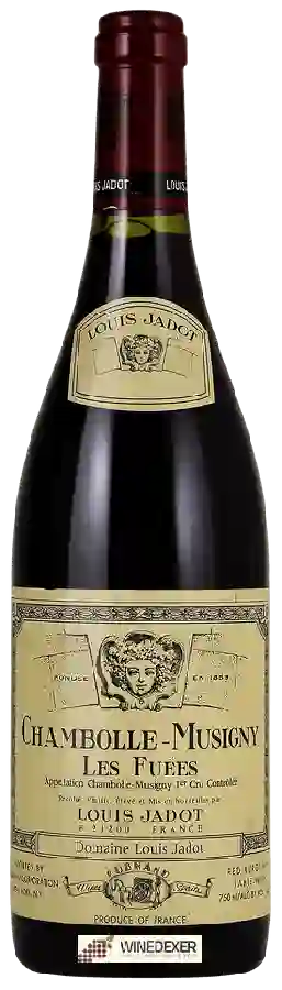 Winery Louis Jadot - Chambolle-Musigny Les Fuées Winery Louis Jadot - Chambolle-Musigny Les Fuées