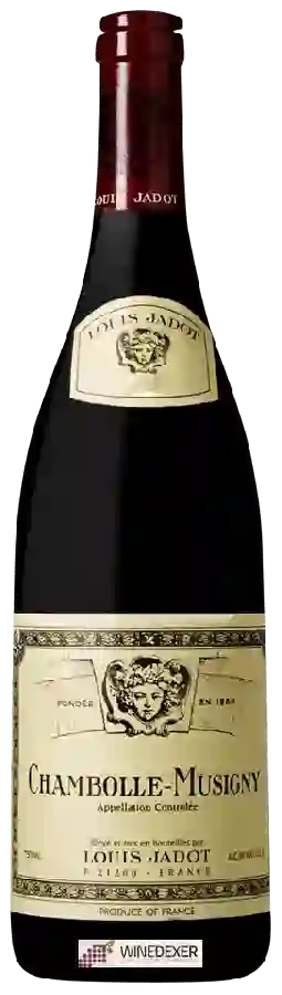 Winery Louis Jadot - Chambolle-Musigny