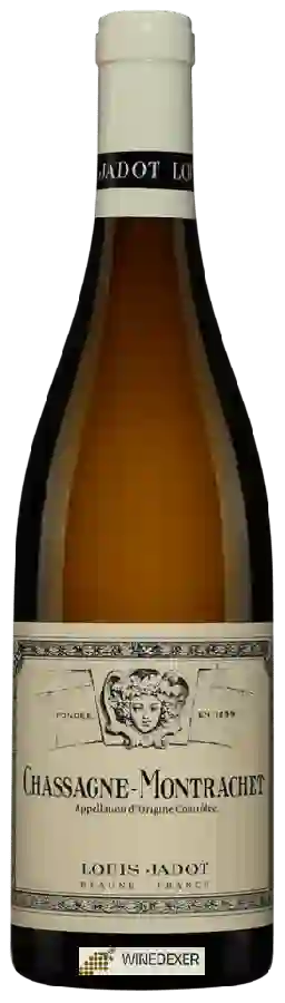 Winery Louis Jadot - Chassagne-Montrachet Blanc