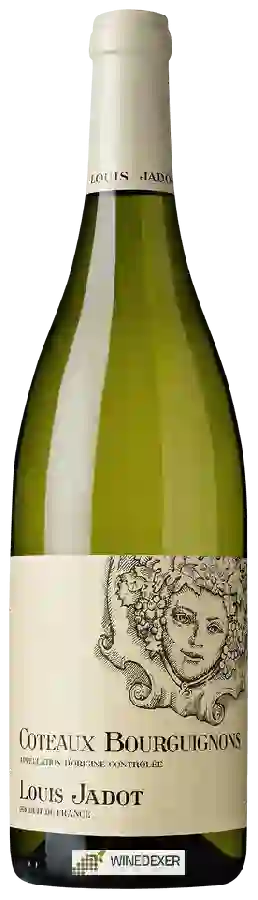 Winery Louis Jadot - Coteaux Bourguignons Blanc Winery Louis Jadot - Coteaux Bourguignons Blanc