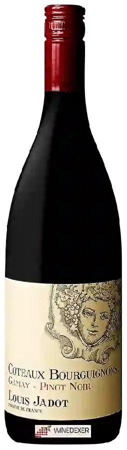 Winery Louis Jadot - Coteaux Bourguignons Gamay - Pinot Noir Winery Louis Jadot - Coteaux Bourguignons Gamay - Pinot Noir