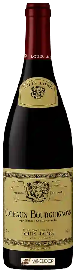 Winery Louis Jadot - Coteaux Bourguignons