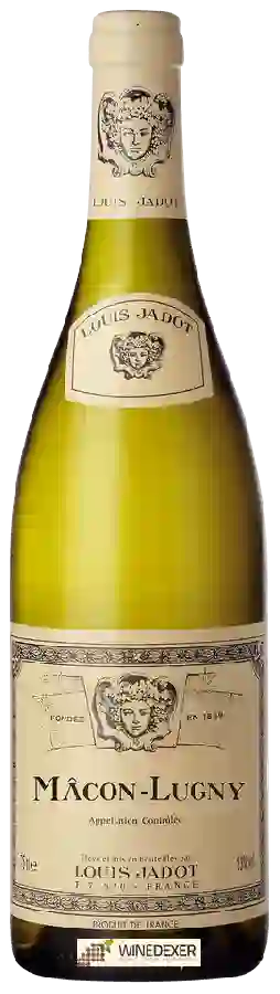 Winery Louis Jadot - Mâcon Lugny