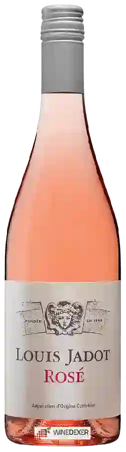 Winery Louis Jadot - Marsannay Rosé