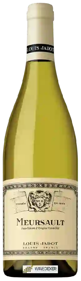 Winery Louis Jadot - Meursault