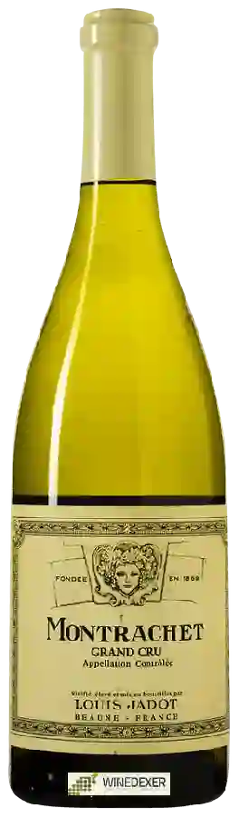 Winery Louis Jadot - Montrachet Grand Cru Winery Louis Jadot - Montrachet Grand Cru