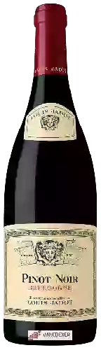 Winery Louis Jadot - Pinot Noir