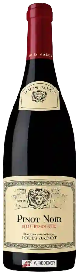 Winery Louis Jadot - Pinot Noir