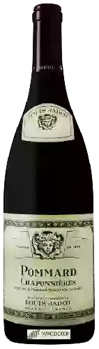 Winery Louis Jadot - Pommard Chaponnières