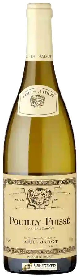 Winery Louis Jadot - Pouilly-Fuissé