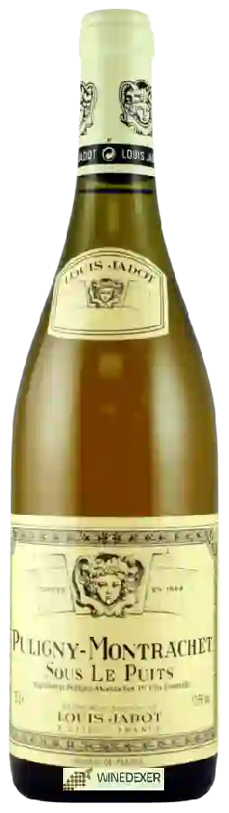 Winery Louis Jadot - Puligny-Montrachet Sous le Puits