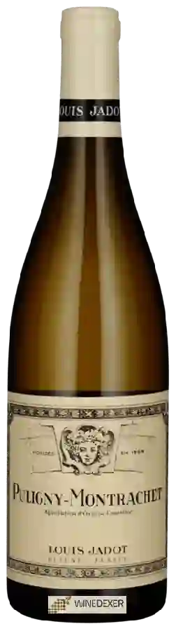 Winery Louis Jadot - Puligny-Montrachet Winery Louis Jadot - Puligny-Montrachet