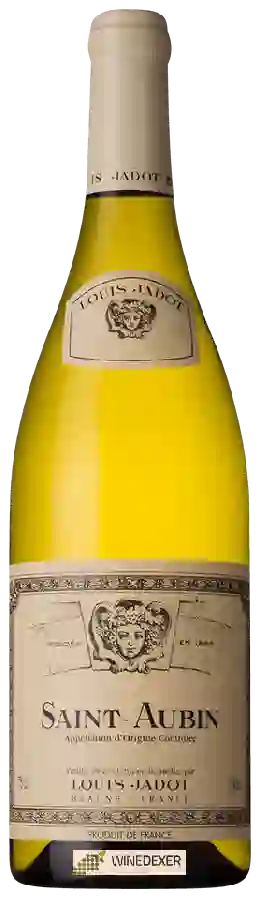 Winery Louis Jadot - Saint-Aubin