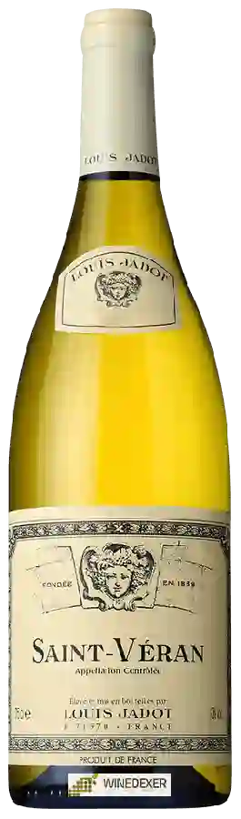 Winery Louis Jadot - Saint-Véran